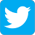 twitter_icon